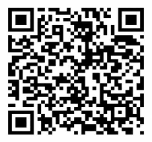 QR Code Pix